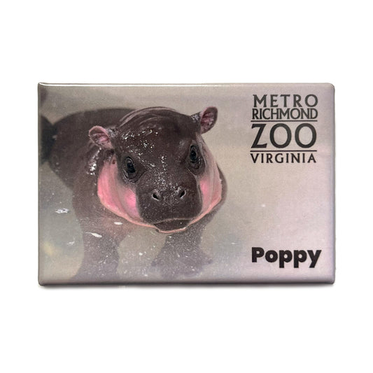Magnet Poppy